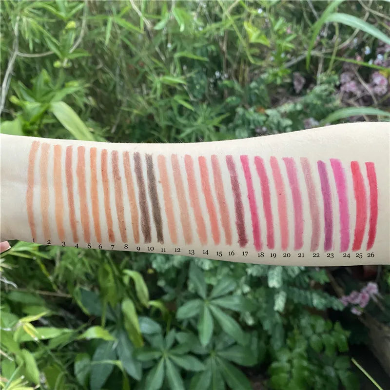 21色化妆品口红唇膏久持久棕色唇线铅笔