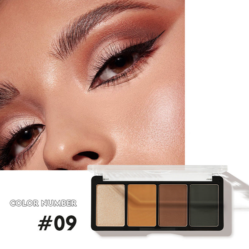 China Factory Direct supply Pudaier four-color Eyeshadow Earth Pearl Matte Gloss Eyeshadow tray (already matched color)