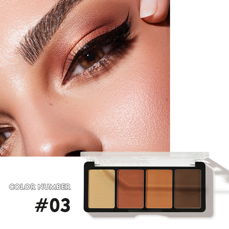 China Factory Direct supply Pudaier four-color Eyeshadow Earth Pearl Matte Gloss Eyeshadow tray (already matched color)