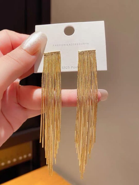 925银针爆款金属流苏耳环女欧美夸张设计感耳坠个性时尚跨境耳饰
