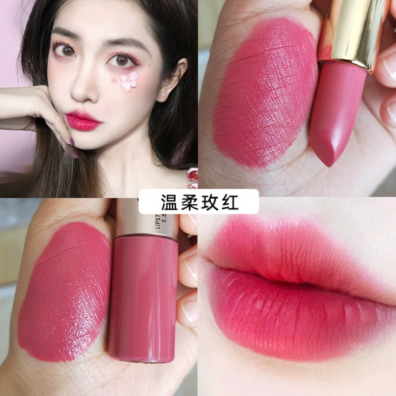 裸色口红唇釉吃土色系欧美妆巧克力女豆沙色深奶茶棕色哑光不粘杯