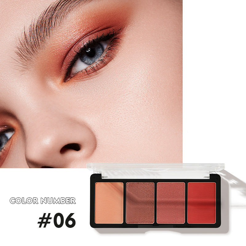 China Factory Direct supply Pudaier four-color Eyeshadow Earth Pearl Matte Gloss Eyeshadow tray (already matched color)